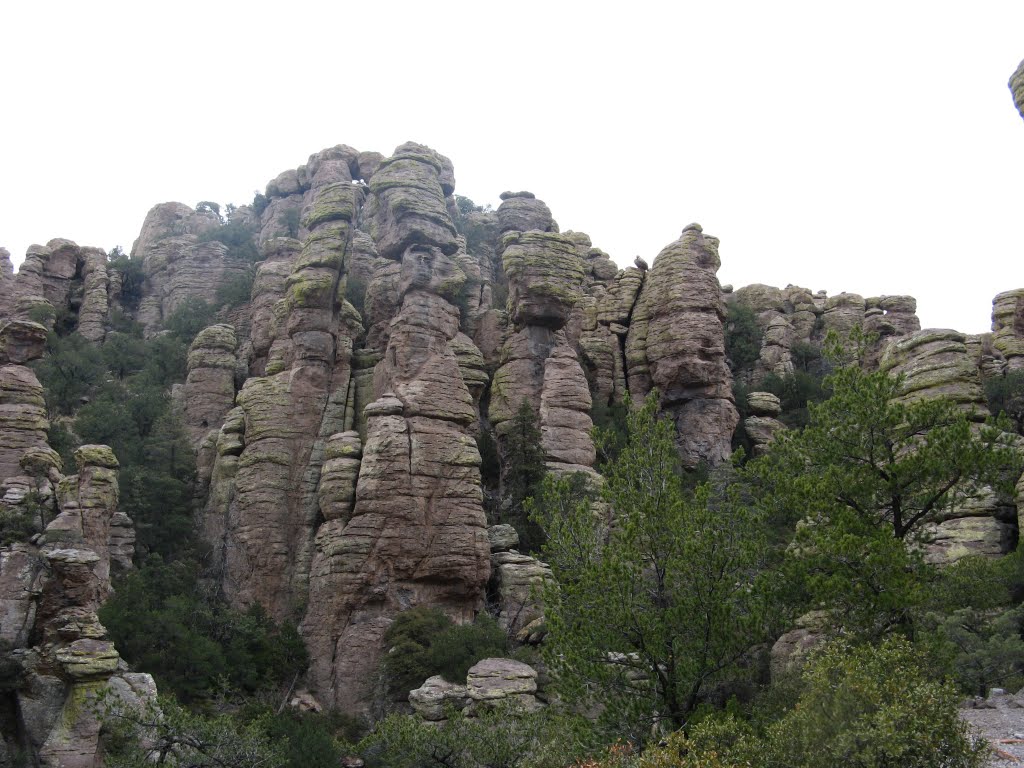 Chiracahua National Monument by hakkun