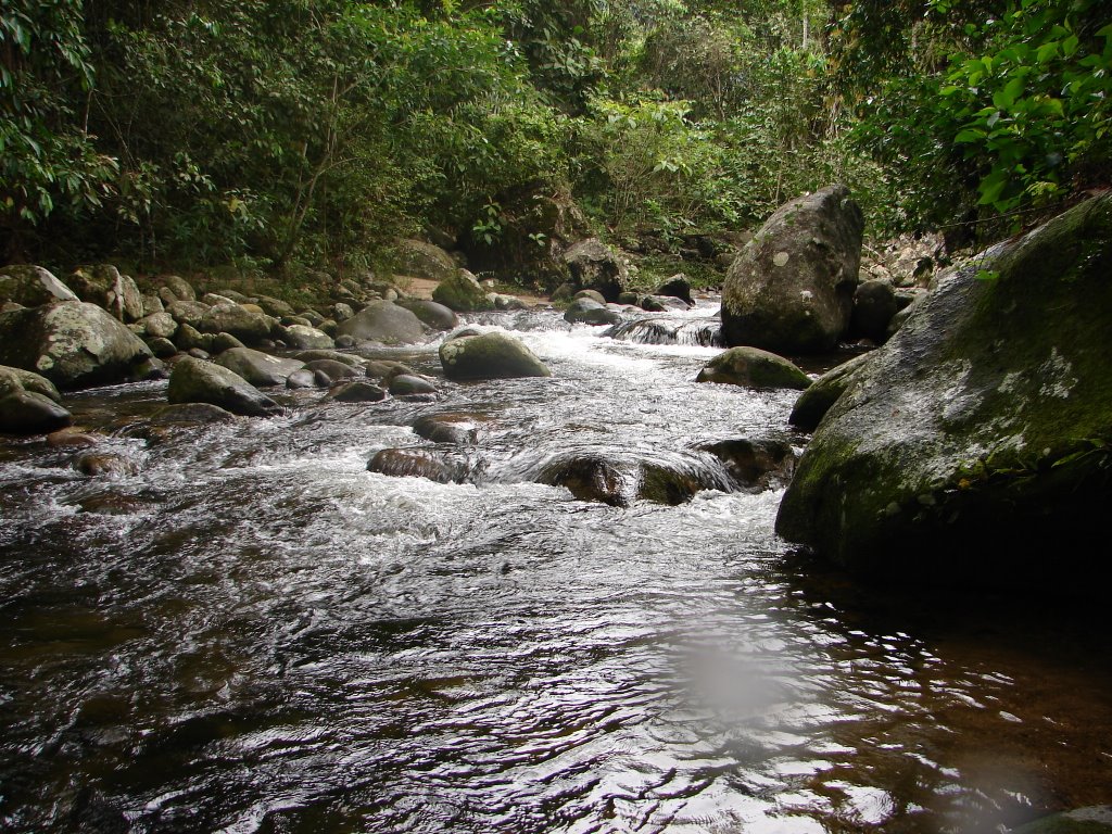 RIO JACUECANGA by cesar neves