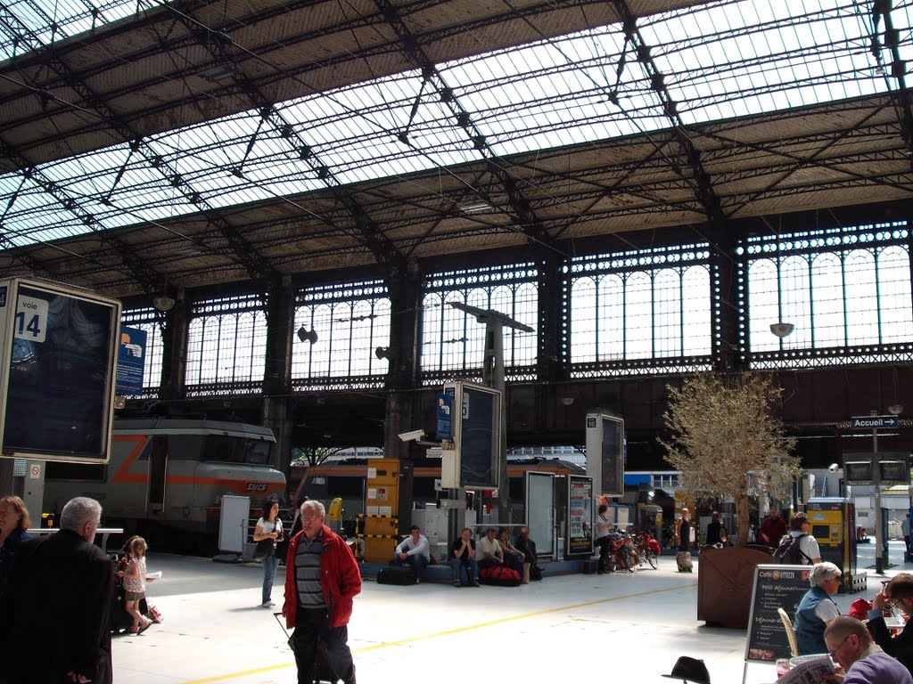 Paris - Gare d´Austerlitz (1010) by Felix2008