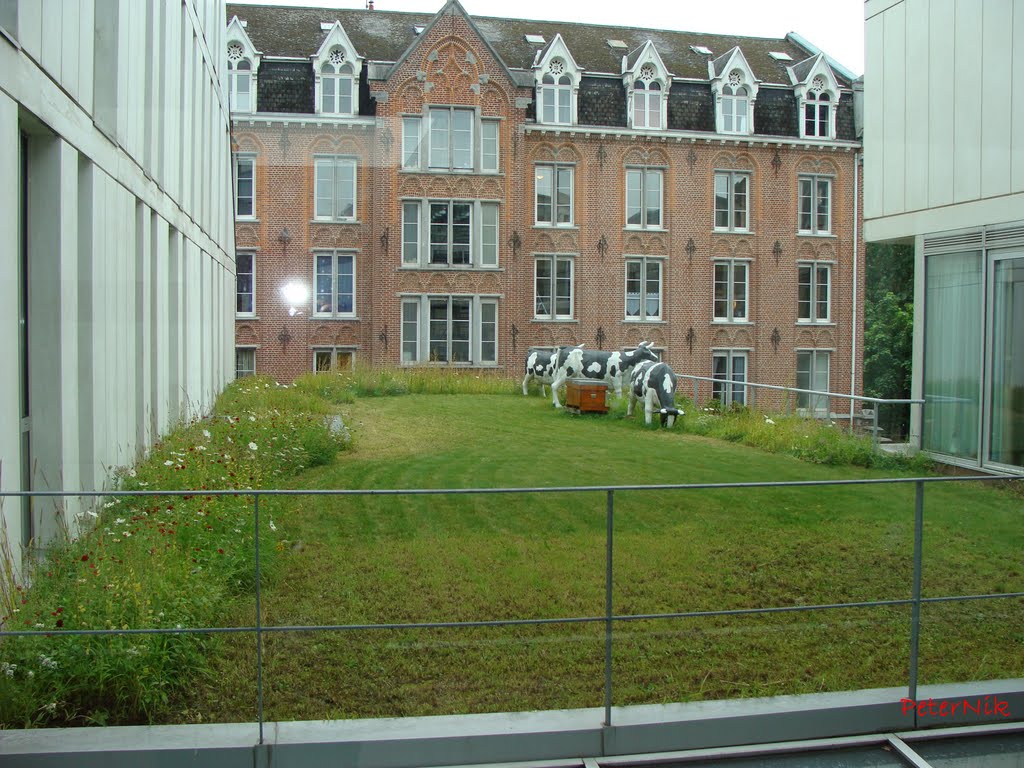 Prédios universitários - Lille - França by Peter  Nikolov