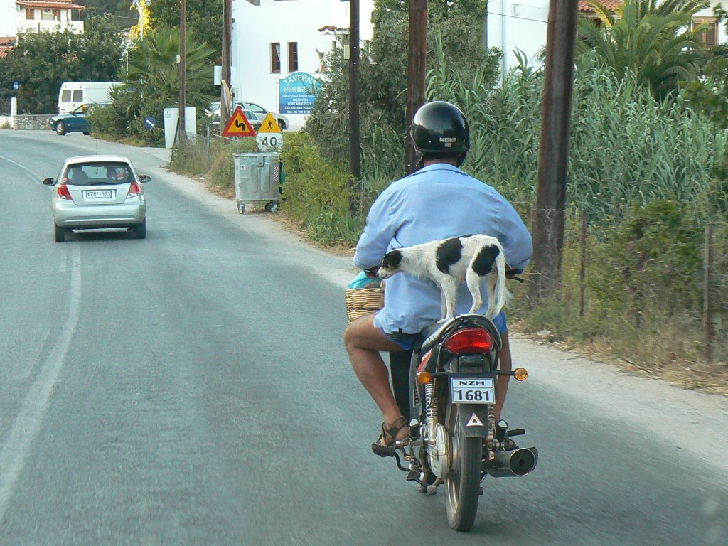 Transportation on Skiathos, Sept 2006 (3) by Mihai Buzasi