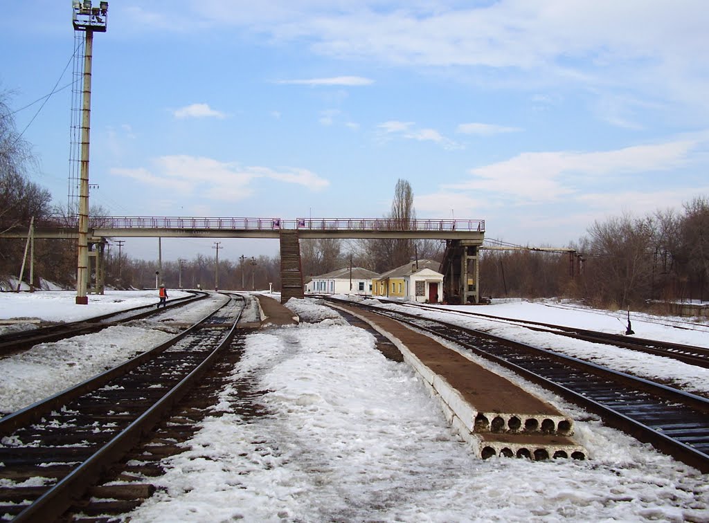 Lysychans'ka city council, Luhans'ka oblast, Ukraine by VnTsokur