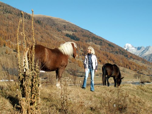 Gleiche Haarfarbe.Gefalle ich dir? by Norbert Burgener