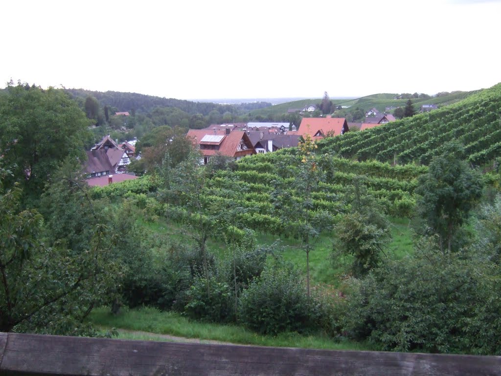 Weinberge und Straßenhäuser in Sasbachwalden by C.A.B.