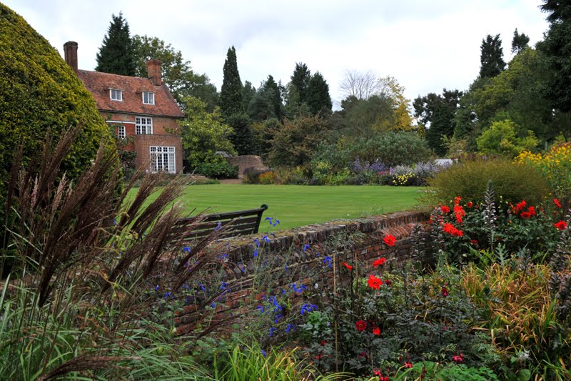 Great Comp gardens. by John Goodwin.