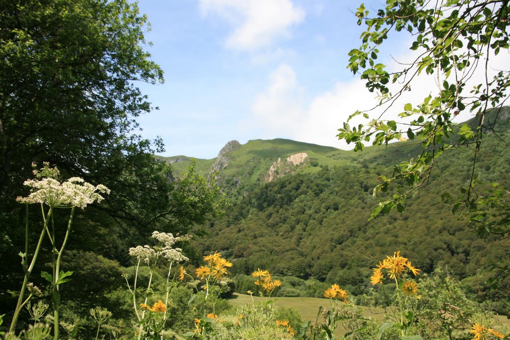 Vallée de Chaudefour by jacquemy