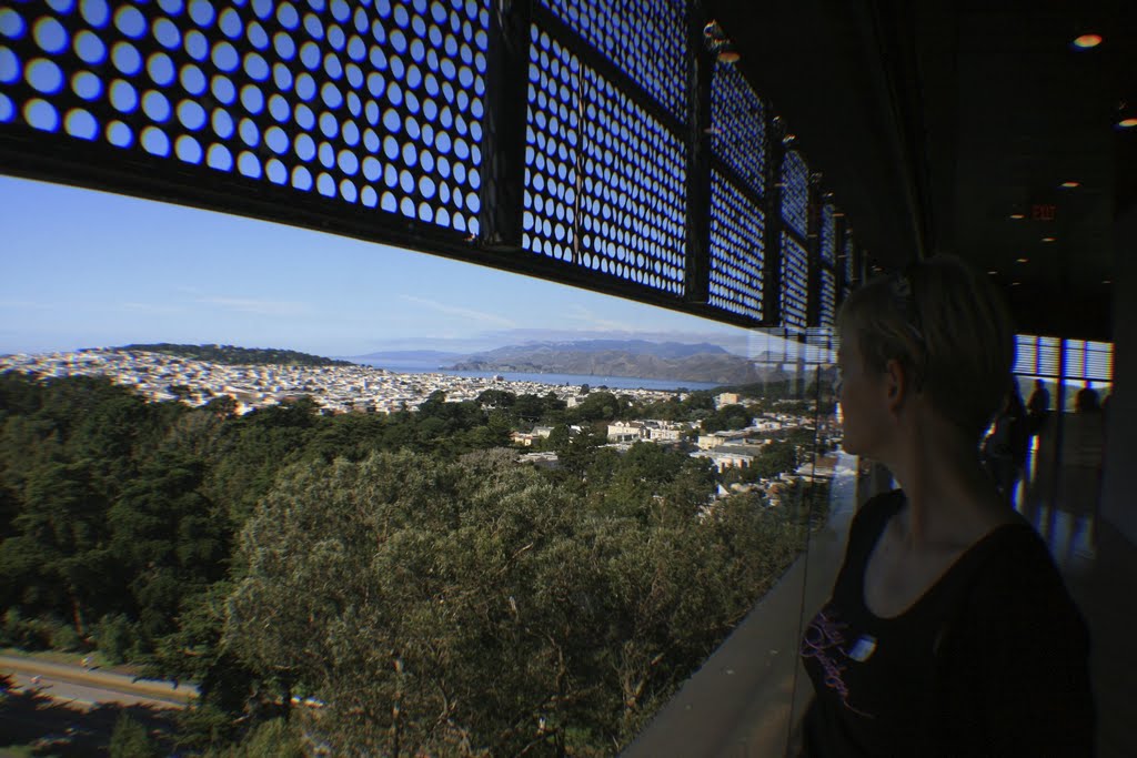 On top of De Young by jan simonsen