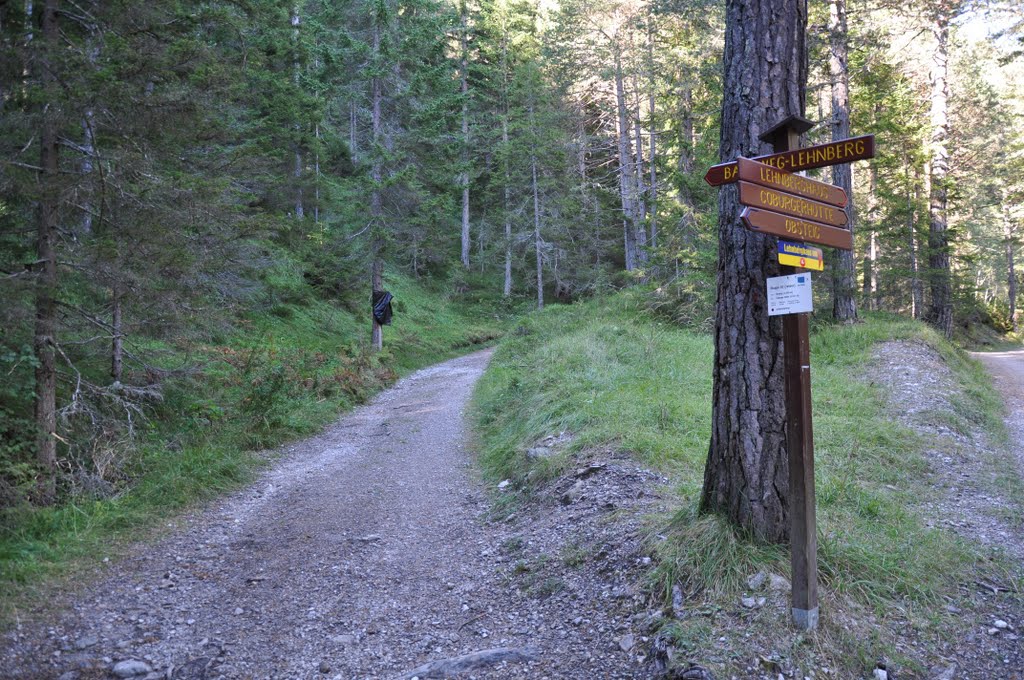 Trennung: Bachweg (Klettersteig) und Fahrweg zum Lehnberghaus, September 2011 by © "Earth Views"