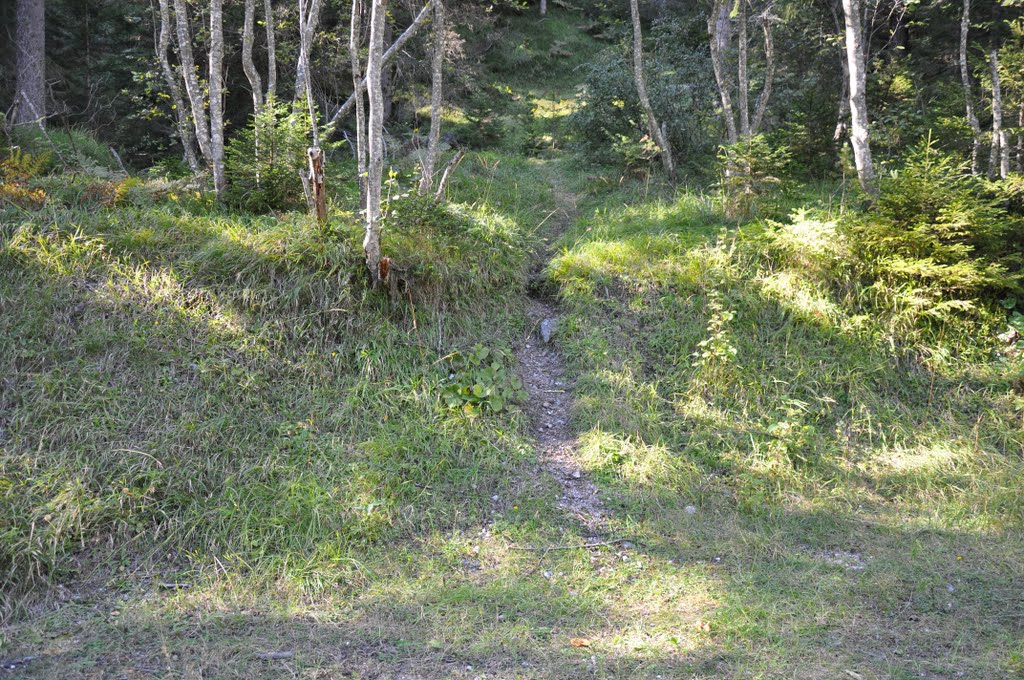 Klettersteig (Bachweg) zum Lehnberghaus, nur für Geübte, abgelichtet im September 2011 by © "Earth Views"