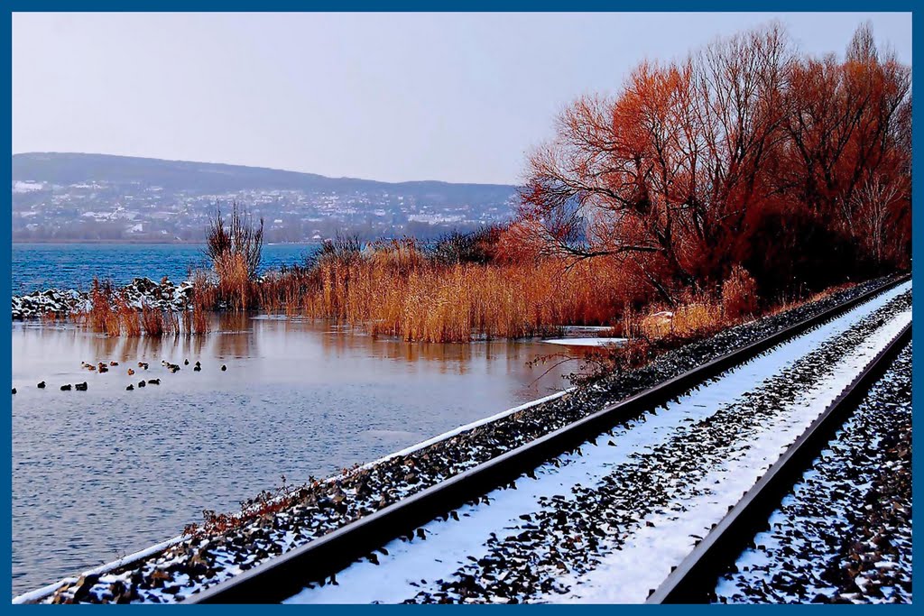 „Arccal a vasút felé” / Balaton by Járai Andrásné