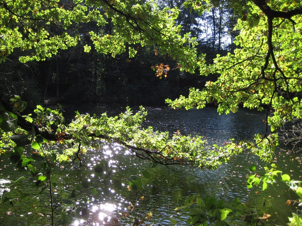 Spätsommertag im Wasserwerkspark by Schubs