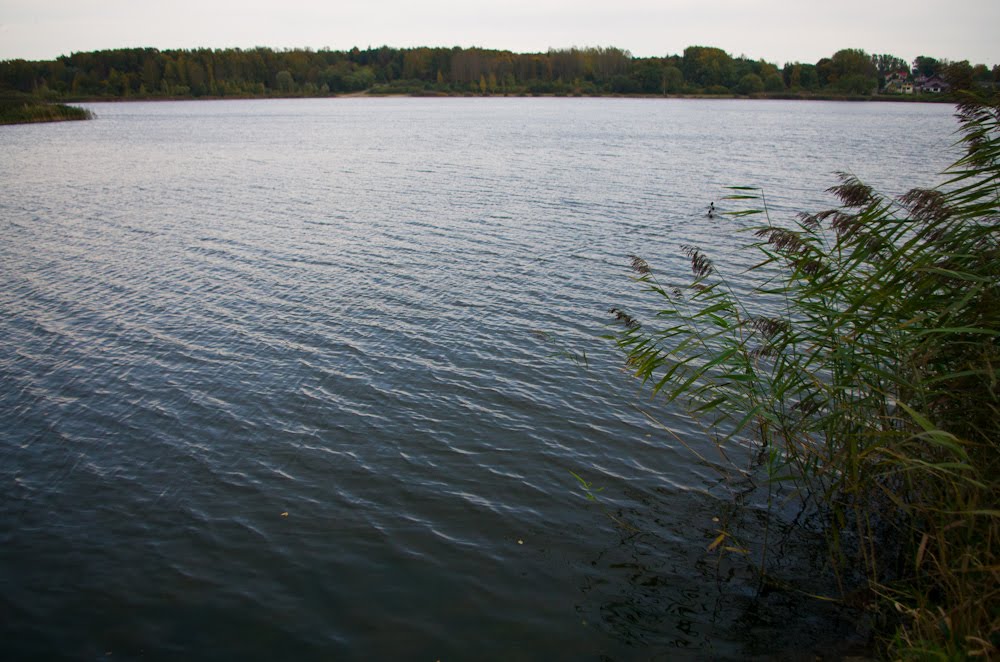 Talša lake by Antanas Kairys