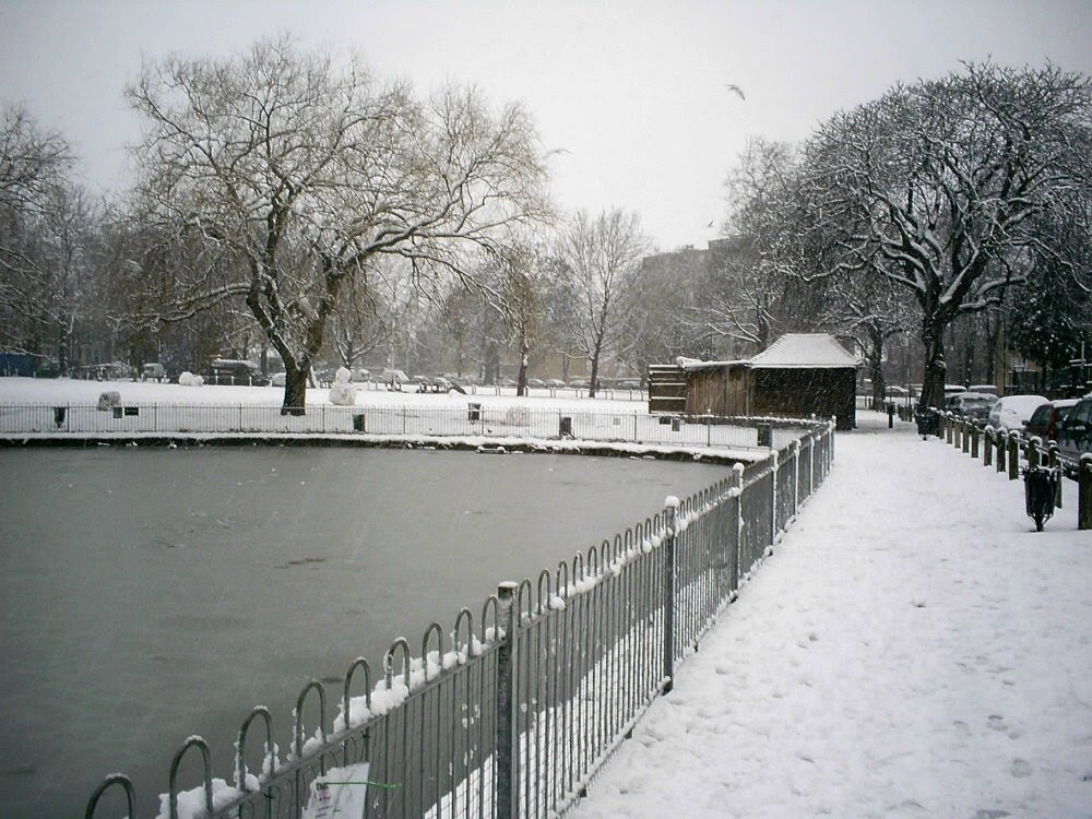 Clapton Pond by terrygilley