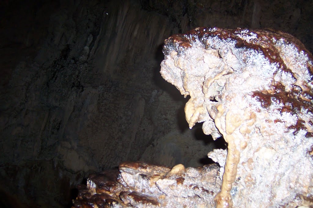 The Witch in the Cavern at Camuy by vroomp