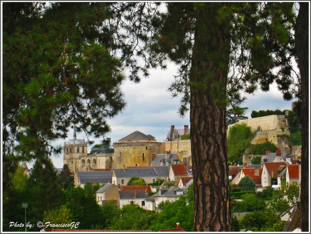 Château d'Amboise - VALLÉE de la LOIRE -France....{ By FranciscoGC } by © FranciscoGC