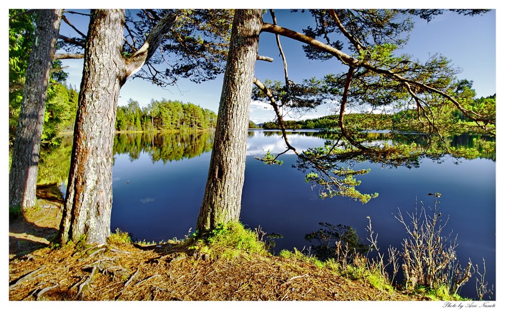 Baklidammen, Bymarka, Trondheim by Aziz Nasuti