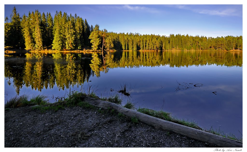 Baklidammen, Bymarka, Trondheim by Aziz Nasuti