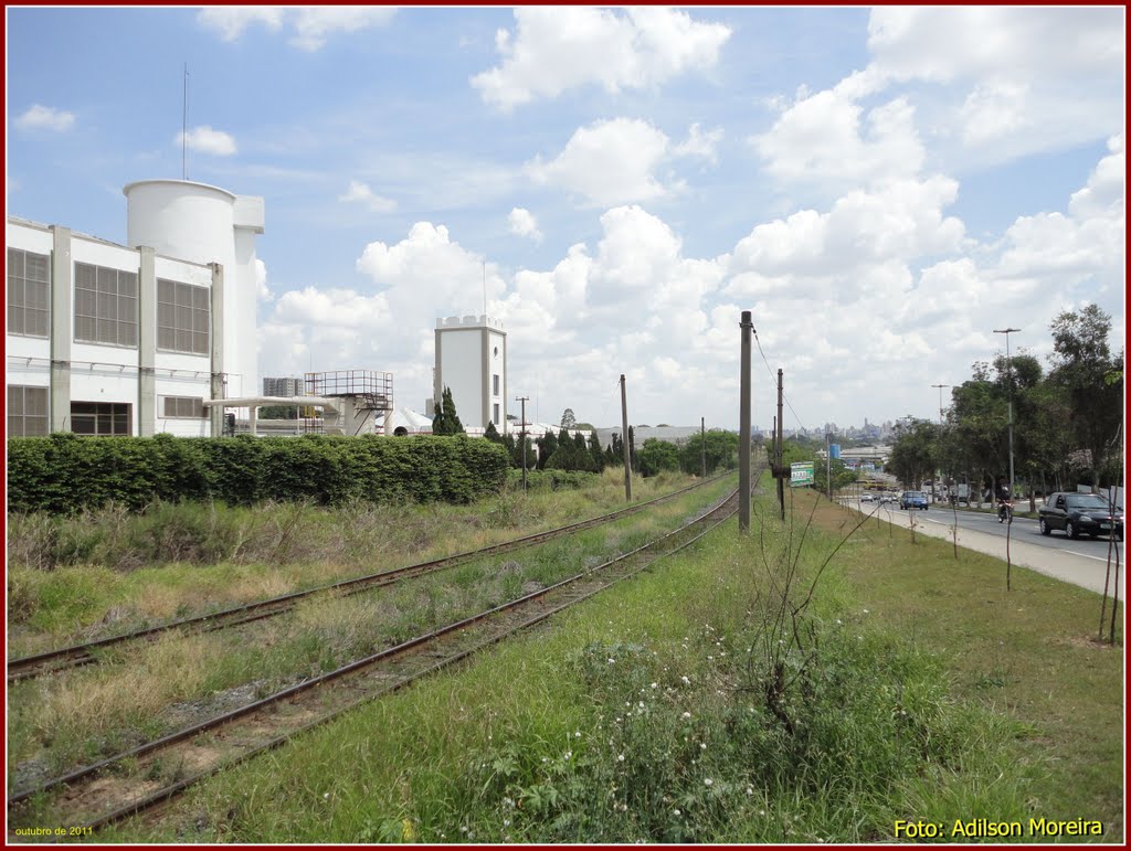 Linha Férrea - Foto: Adilson Moreira by adilson moreira