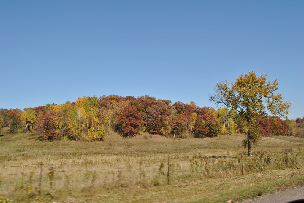 Rural Dunn County, WI by Aaron Carlson