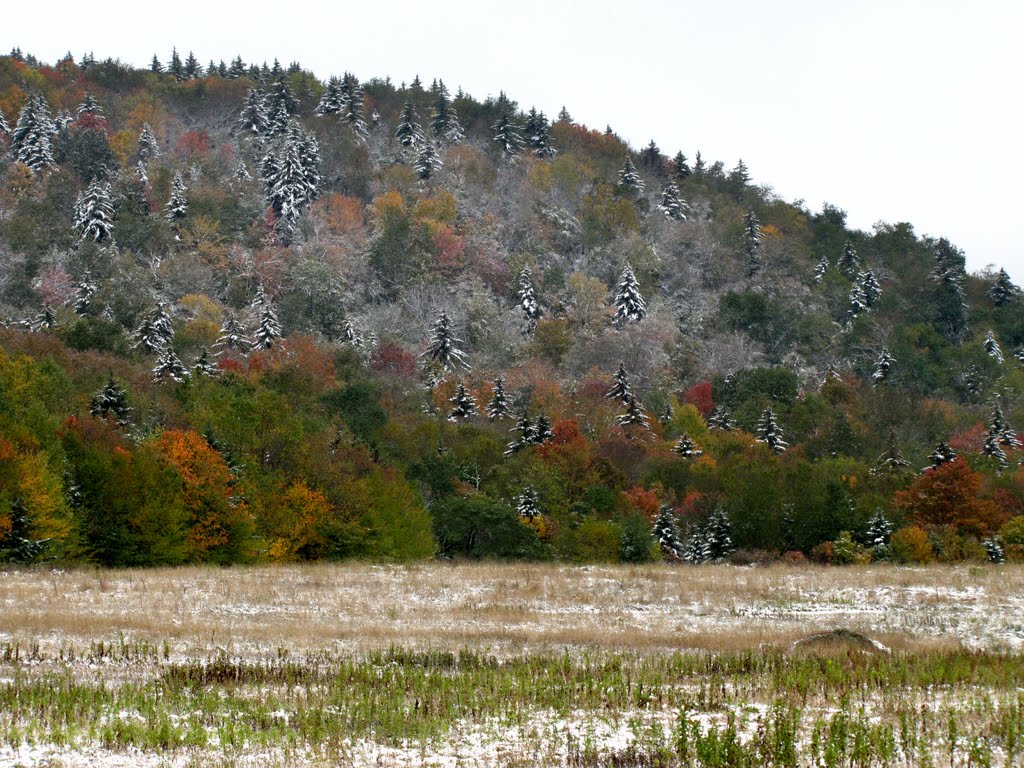 Freak Early Snow Fall at the Highlands by Chris Sanfino