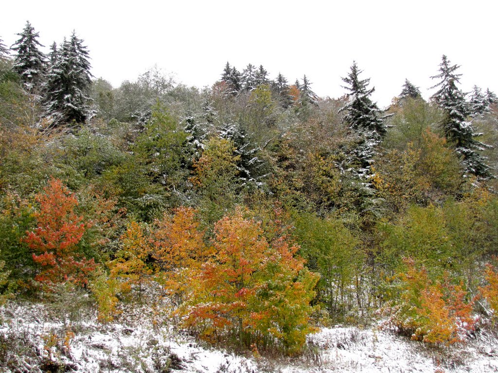 Autumn Snow from Scenic Highway by Chris Sanfino