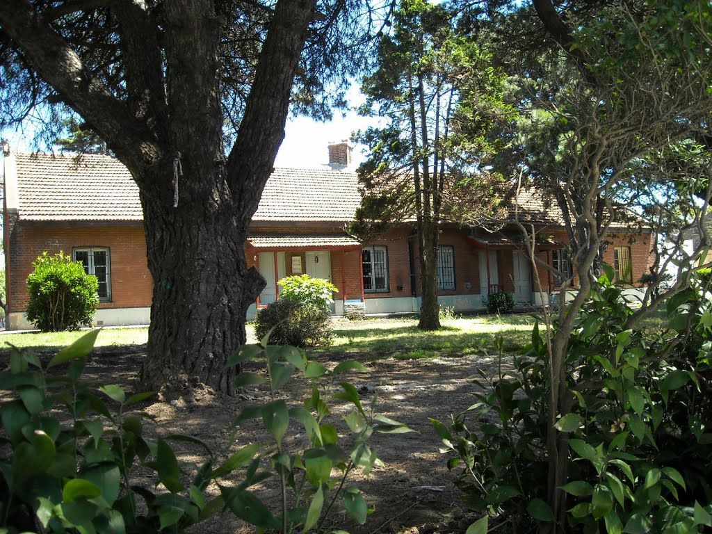 Resabios de la antigua estación de trenes en la Nueva estación de ómnibus de Mar del Plata by Matha Burroughs