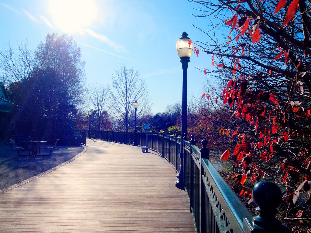 St. Louis Zoo Boardwalk by richg1