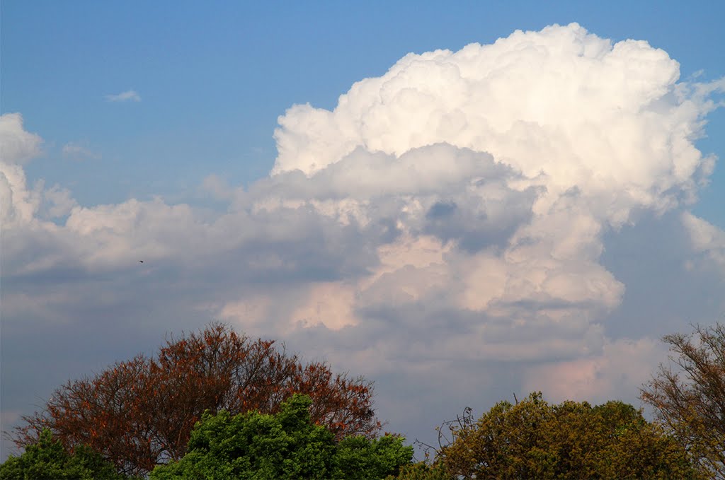 Afternoon storm brewing by Daan Prinsloo