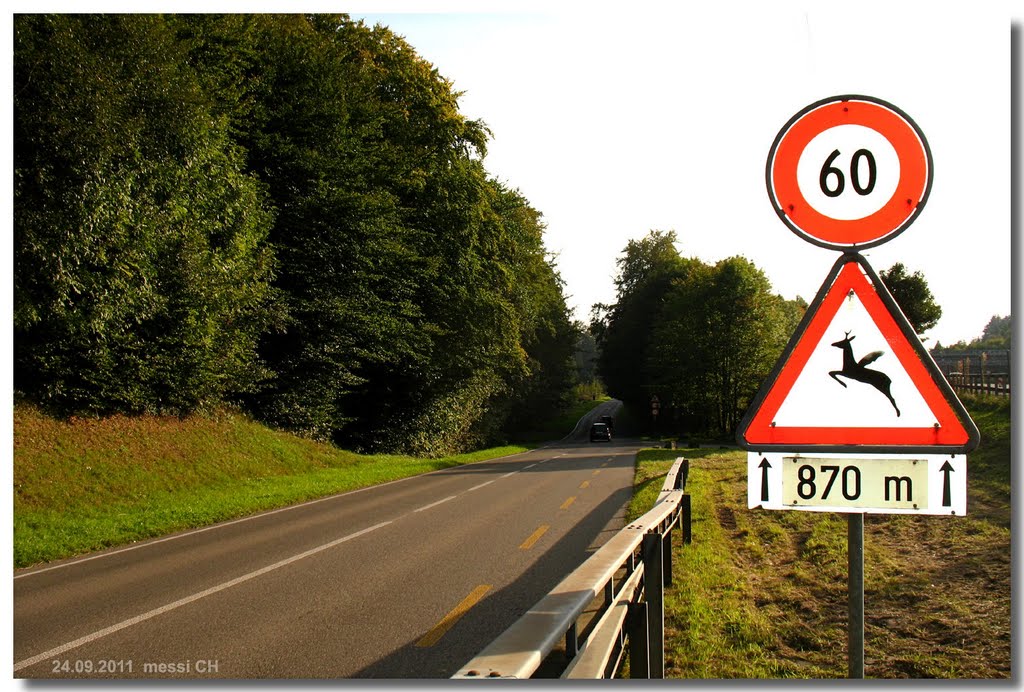 (me'11) Road sign – 'Deer Crossing' Swiss style, the Pegasus version  [200°] by ©polytropos