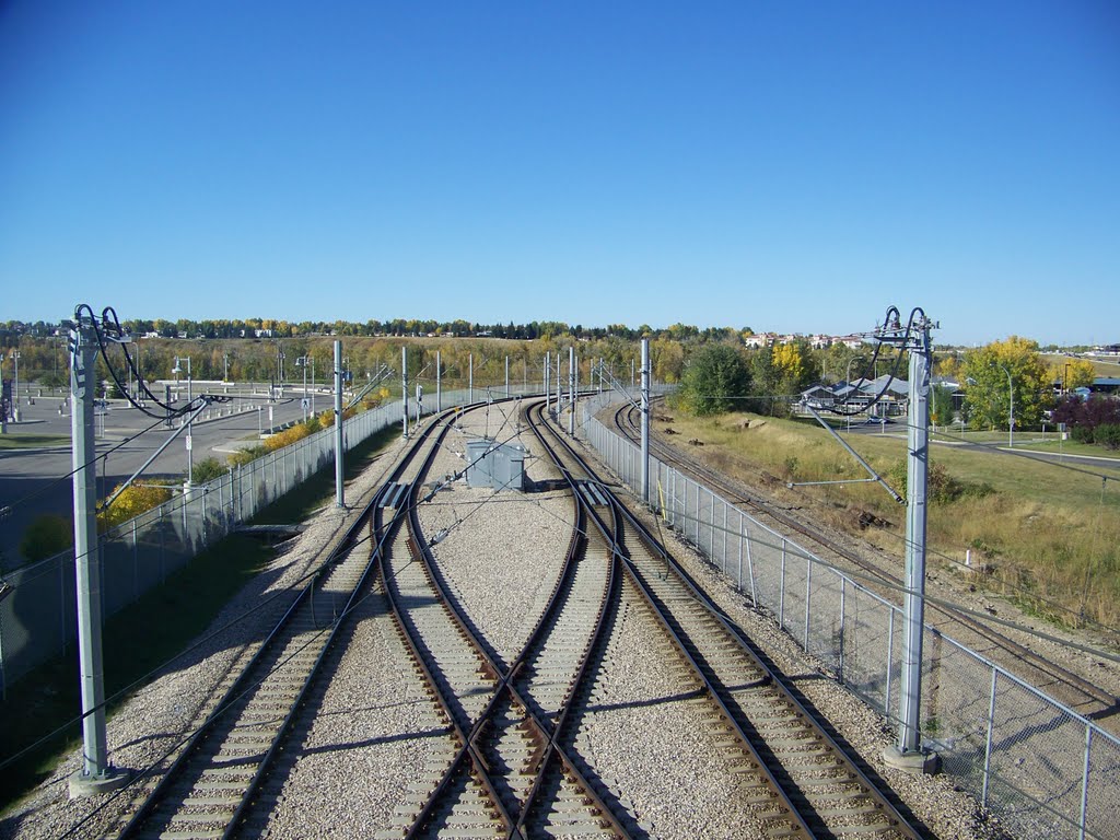 Calgary C-Train Rail Way by Feng Xu Yong Men