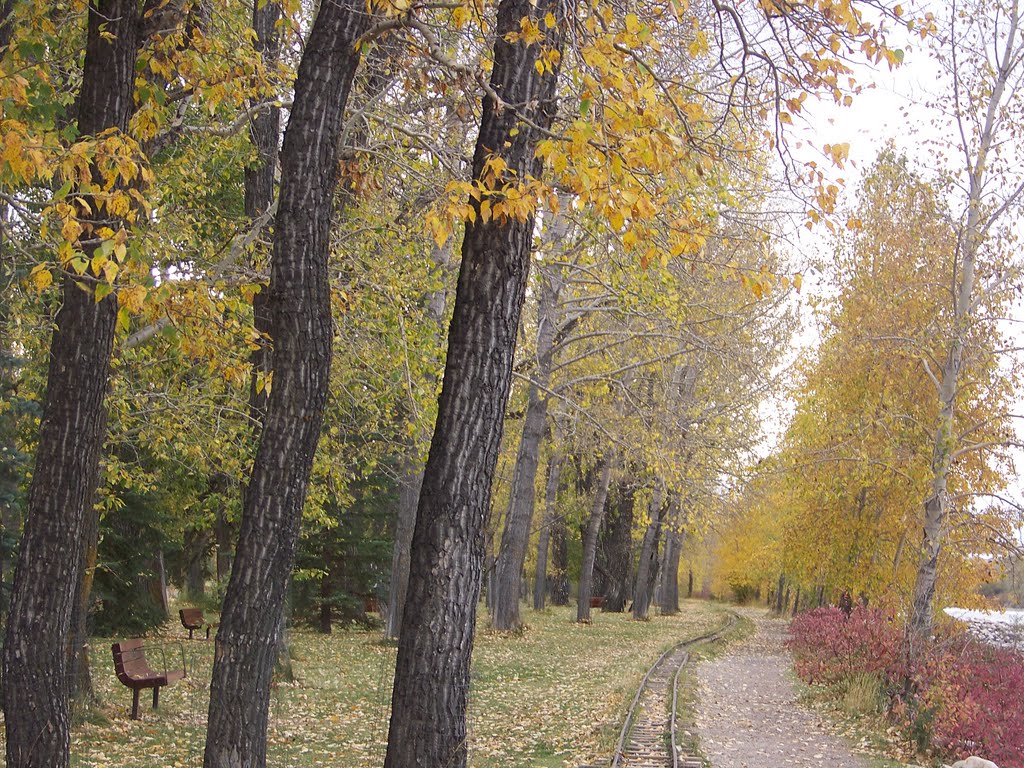 Bowness Park by Feng Xu Yong Men