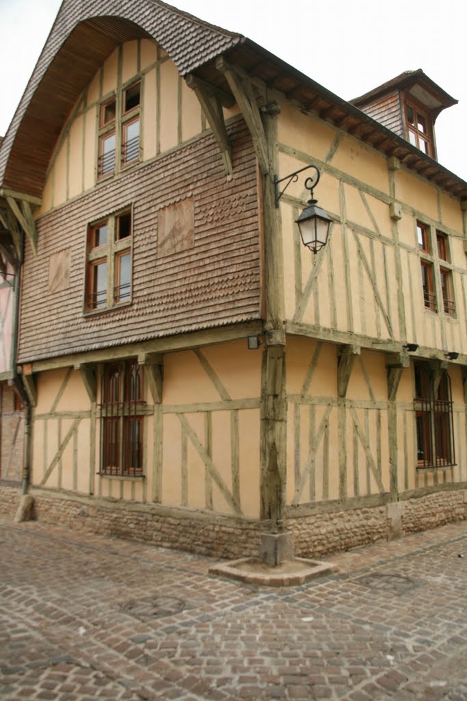 Le Champs des Oiseaux, Troyes, Aube, Champagne-Ardenne, France by Hans Sterkendries