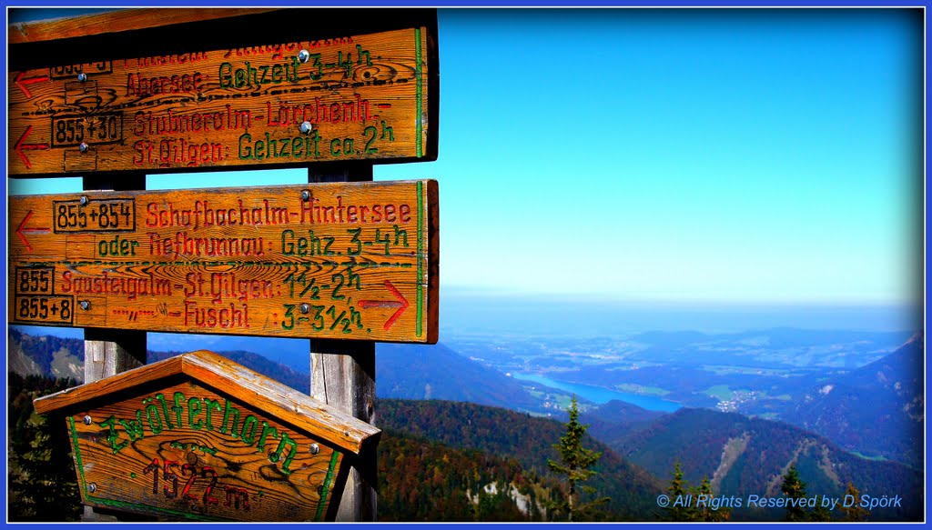 Wegweiser! (Im Hintergrund der Fuschlsee) (Sign! In the background the Fuschlsee) by Didi Spörk