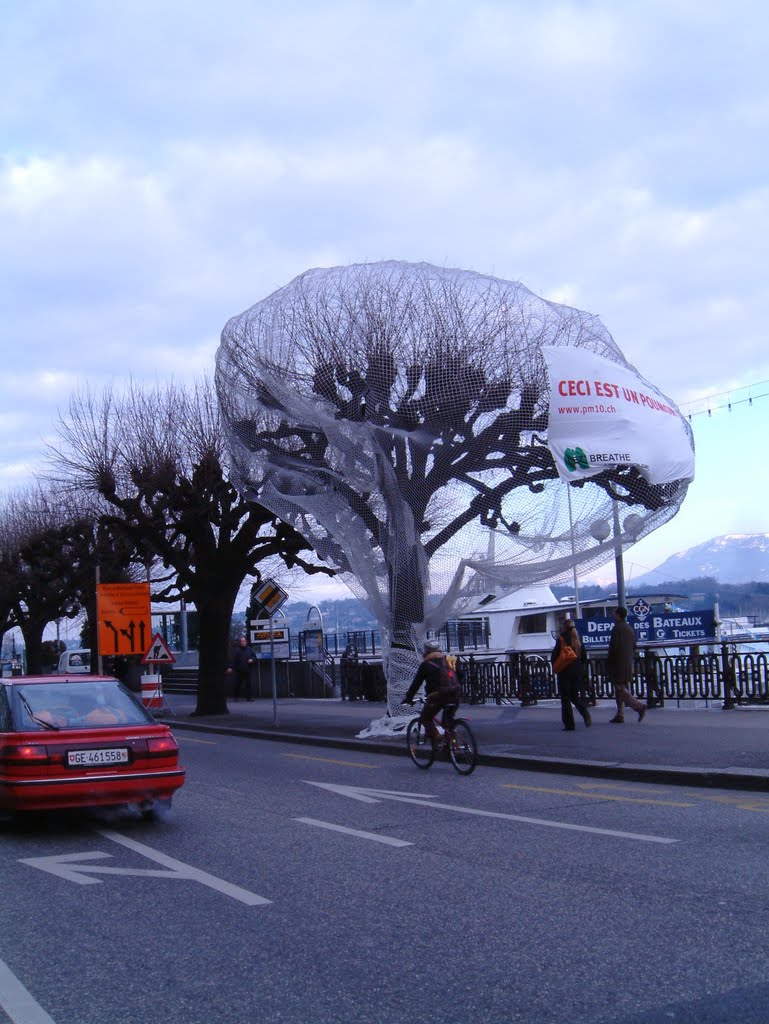 Campagne de sensibilisation contre la pollution atmosphérique - Arbres-poumons by Magda GHALI