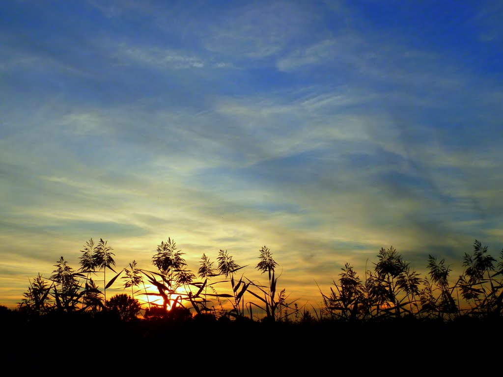 Sunset from worm's-eye view by Jörg Damrath