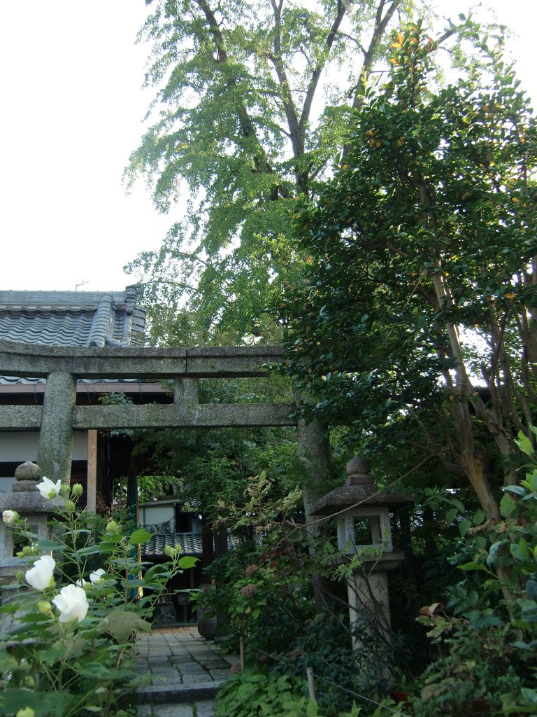 本長寺境内妙見宮鳥居 the Torii of Myokengu-shrine in Hontyoji-temple by 峠の爺や