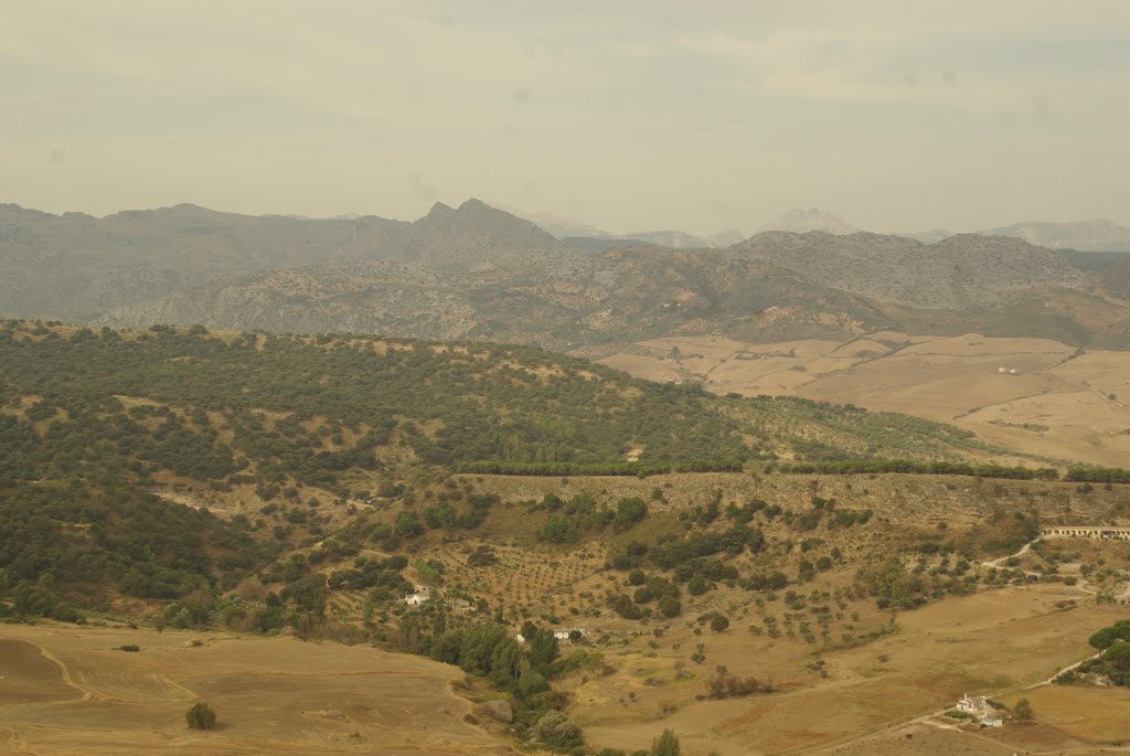 ® S.D. (ES,EN) RONDA PANORAMA AL SUR 1 by Concepcion AMAT ORTA…