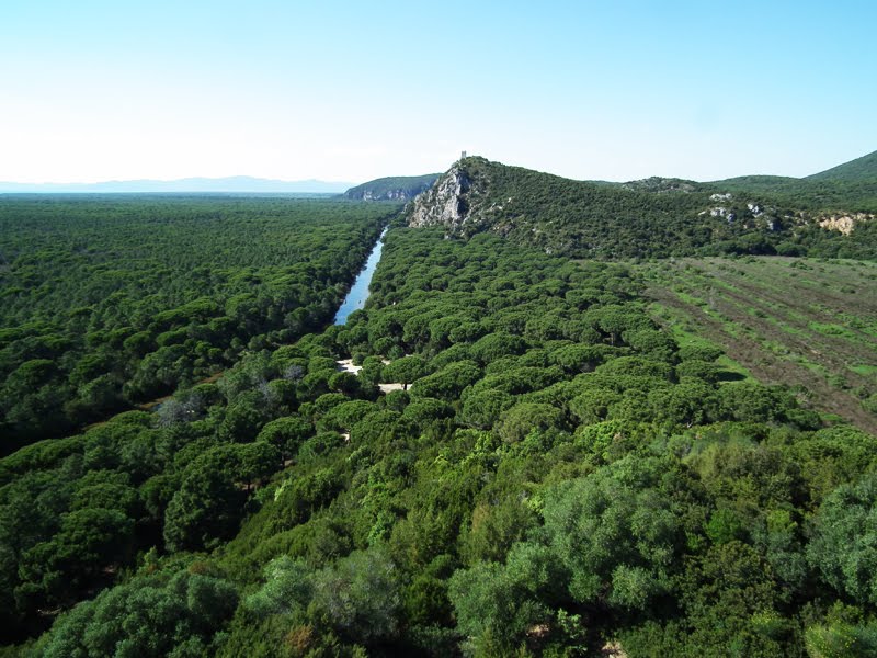 Parco della Maremma - Vista su Torre di Castelmarino da Torre di Collelungo by SystemaNaturae