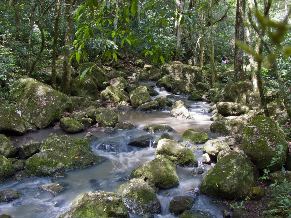 Arroyo en Parque Provincial Profundidad by Eduardo Hildt