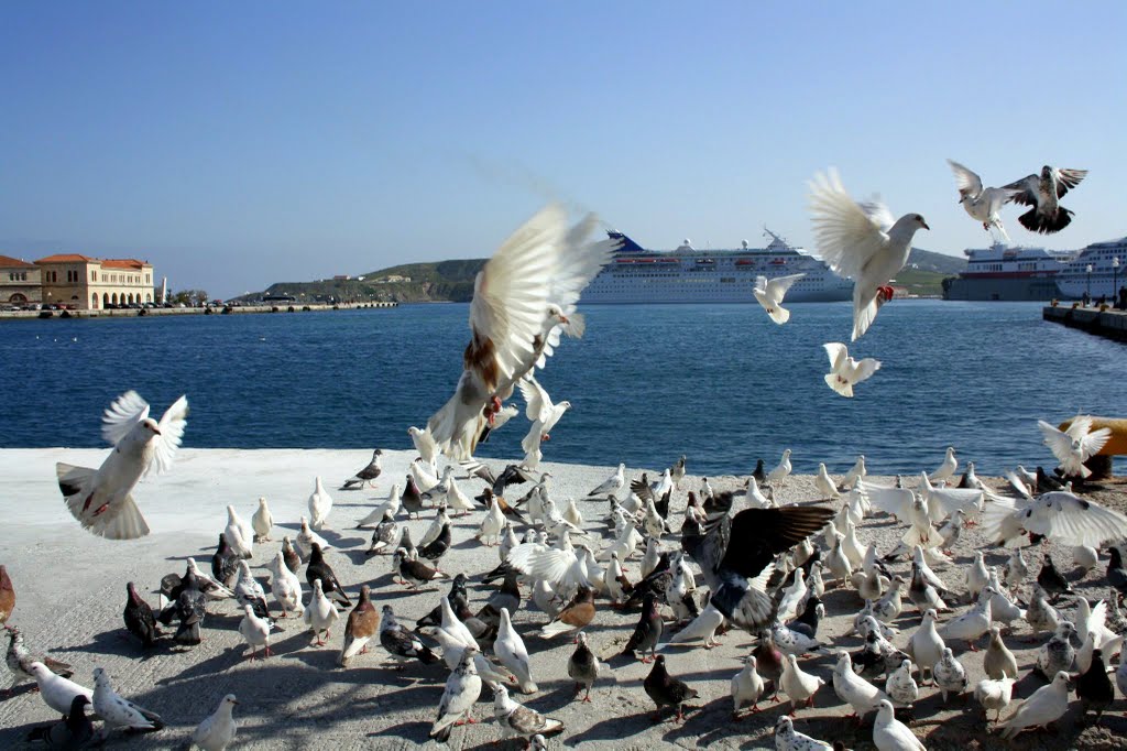 Flight in slow motion by Giorgos Abarth