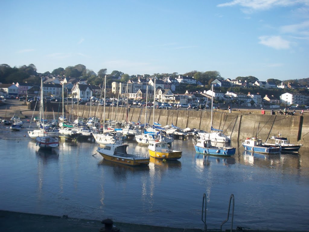 Saundersfoot harbour by edgar john