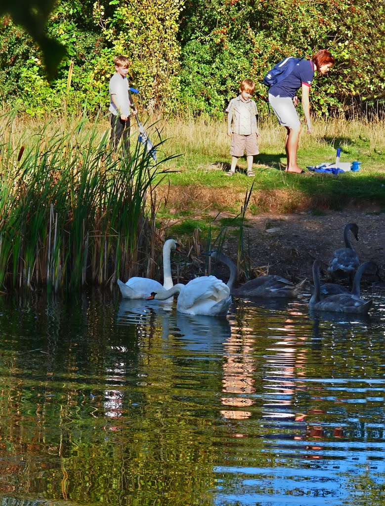 Stonebow Ponds, Loughborough by G. W. Mayson