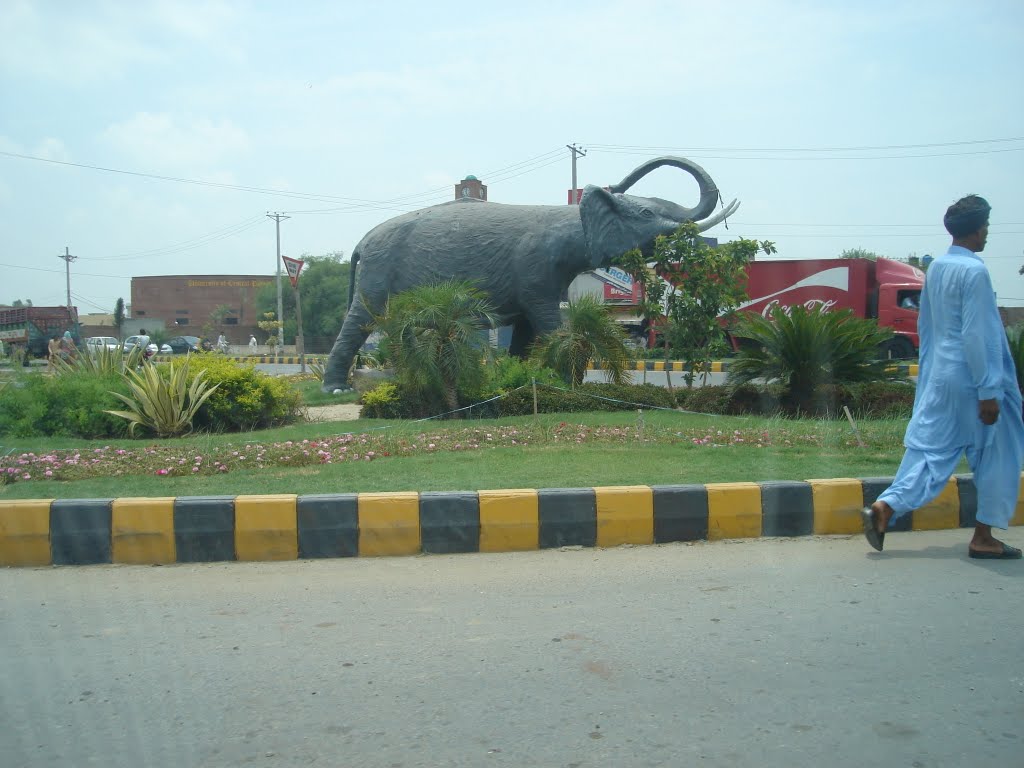 Elephant chock by babar k jadoon