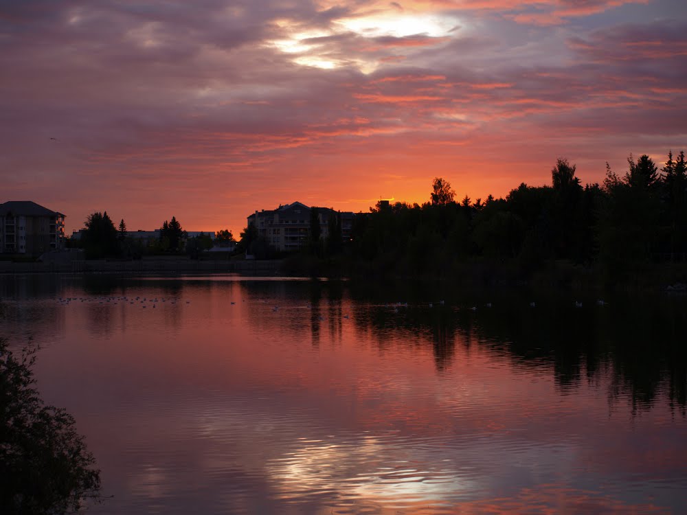 Lake Beaumaris Sunset by Nikbrovnik