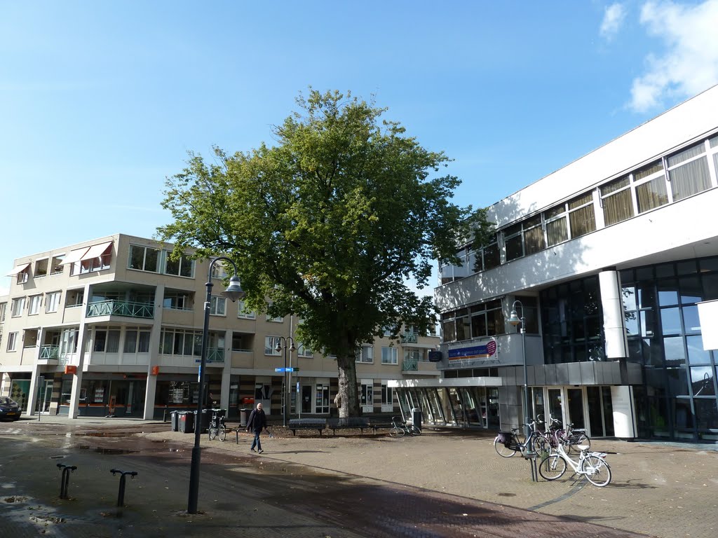 Groen tussen wit en blauw by steven jansen