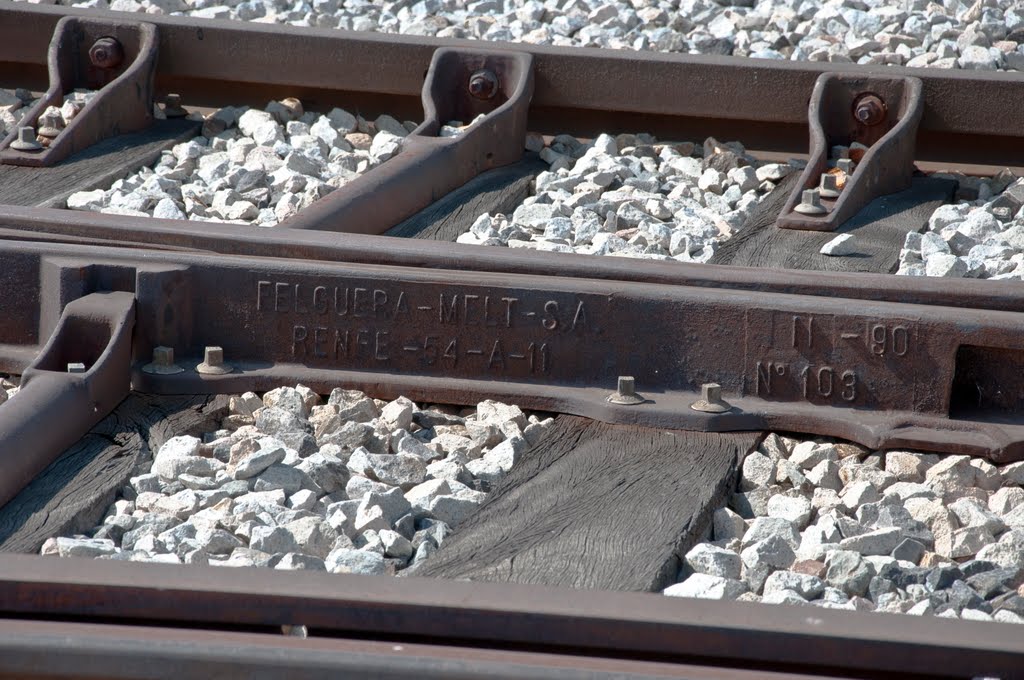 Ferrocarril Madrid - Burgos. Vias de la estacion de Bustarviejo, Madrid. by Felipe Salvador Orti…