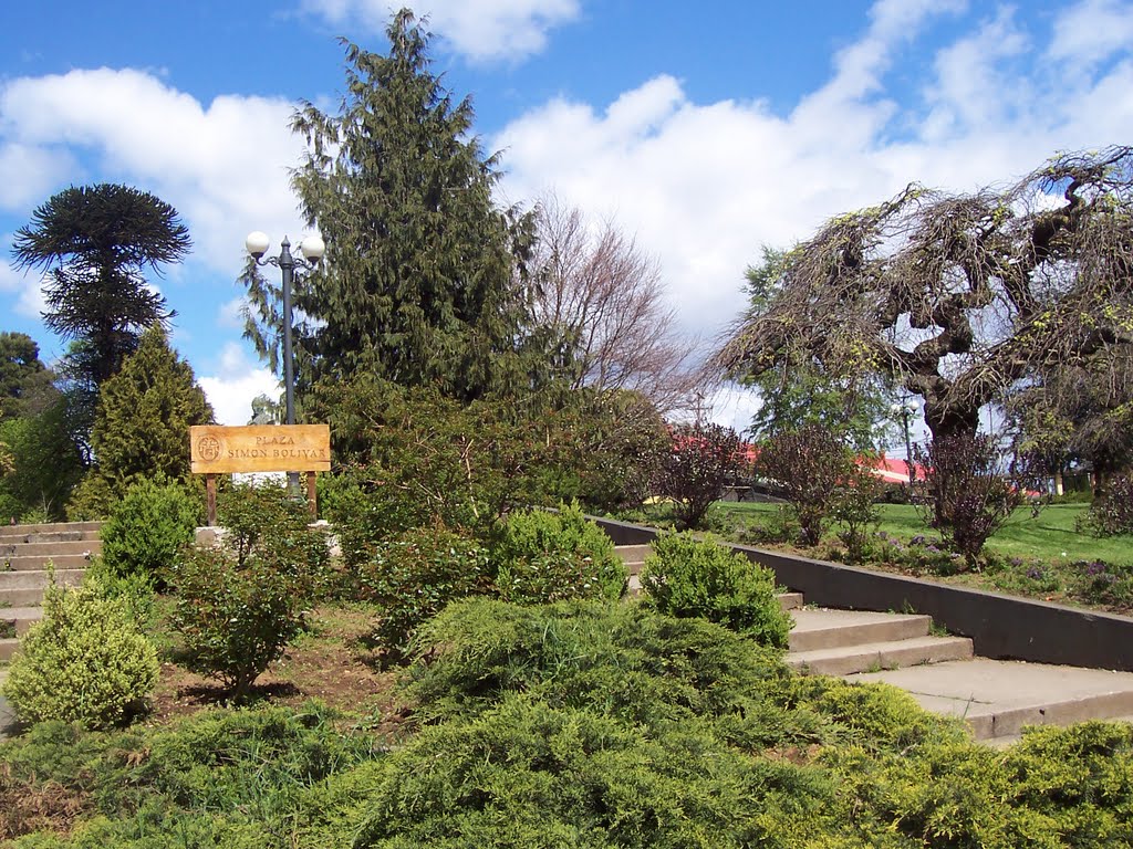 Escalera del parque by Tellez Luis