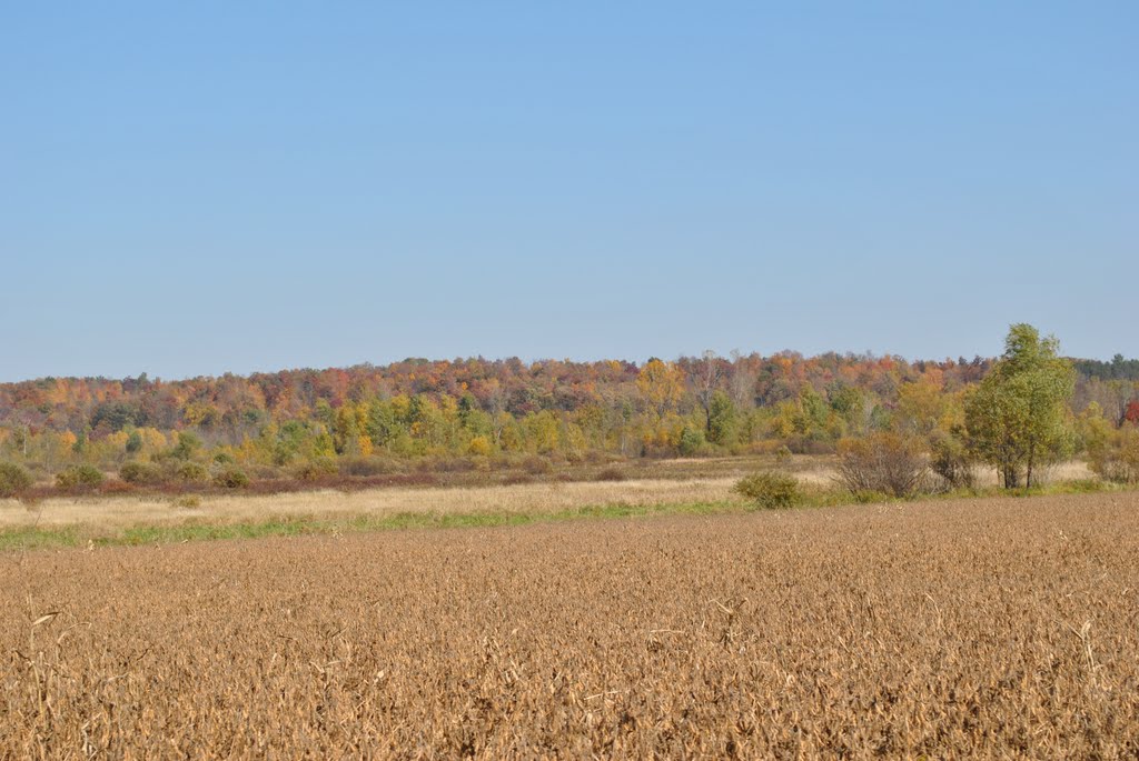 Rural Dunn County, WI by Aaron Carlson