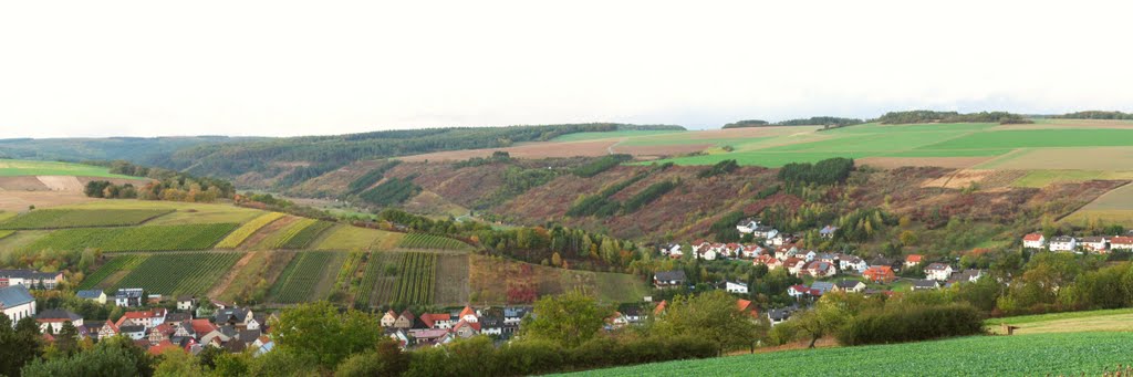 Königheim und NSG Haigergrund von der Hussenbacher Höhe aus by lebola