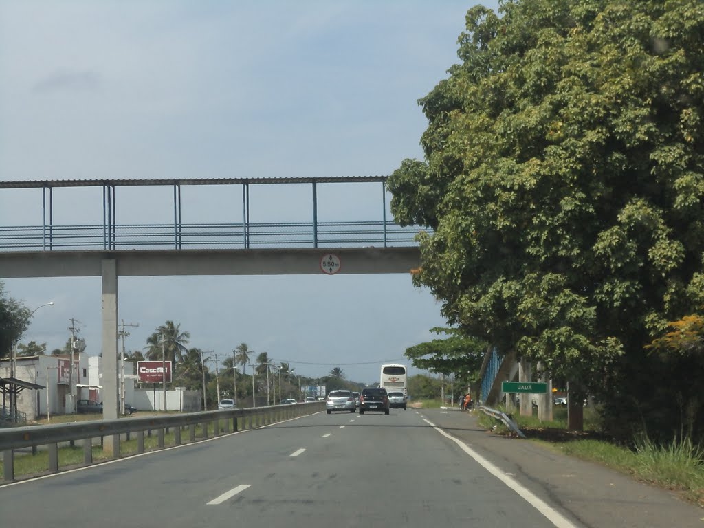 Indo para Maceió via Aracaju 2 by Lauro de Freitas